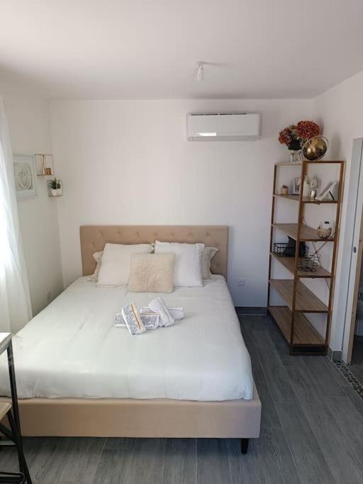 Charmant Studio Avec Piscine Villemoustaussou 外观 照片