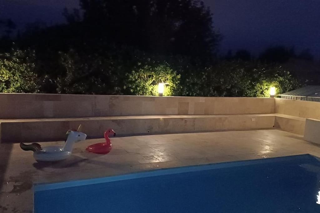 Charmant Studio Avec Piscine Villemoustaussou 外观 照片